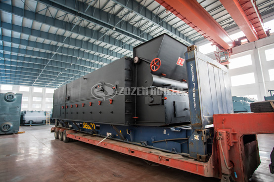 8吨DZL生物质蒸汽节能锅炉项目